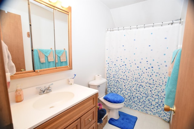 3850 Mando Ct, Coleman, MI 48611 - full bath featuring vanity, toilet, a shower with curtain, and lofted ceiling