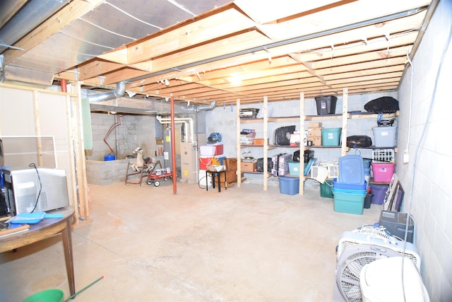 3850 Mando Ct, Coleman, MI 48611 - view of unfinished below grade area
