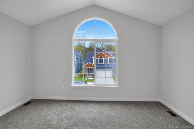 27621 Maryjane Ln E, Chesterfield Twp, MI 48047 - empty room with carpet, plenty of natural light, baseboards, and vaulted ceiling