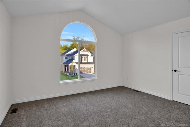 27645 Maryjane Ln E, Chesterfield Twp, MI 48047 - bonus room with carpet floors, lofted ceiling, and baseboards