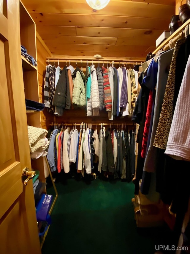 E1849 H44 Hwy, Trenary, MI 49891 - view of spacious closet