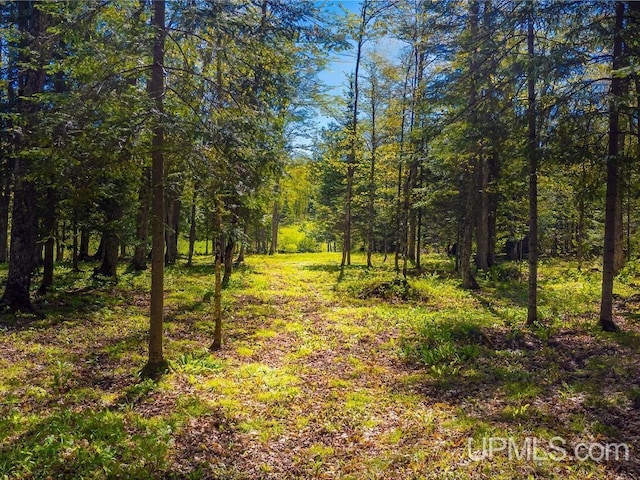 E1849 H44 Hwy, Trenary, MI 49891 - view of tree filled area