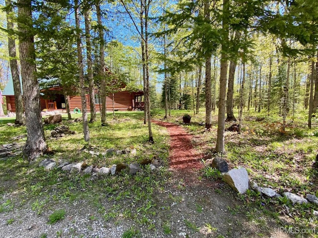 E1849 H44 Hwy, Trenary, MI 49891 - view of yard