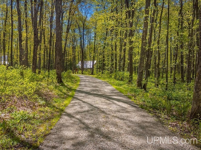 E1849 H44 Hwy, Trenary, MI 49891 - view of street with a wooded view