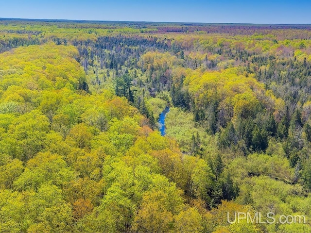 E1849 H44 Hwy, Trenary, MI 49891 - bird's eye view of a forest