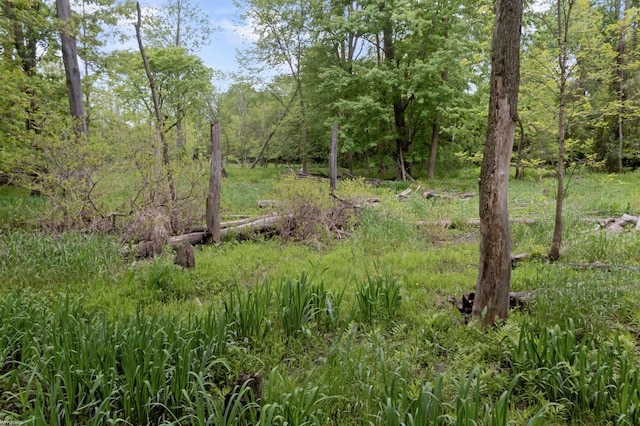 0 Jorden Rd, Yale, MI 48097