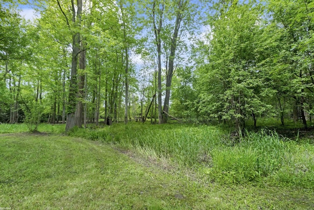 0 Jorden Rd, Yale, MI 48097