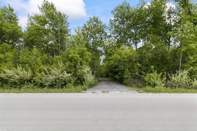 0 Jorden Rd, Yale, MI 48097