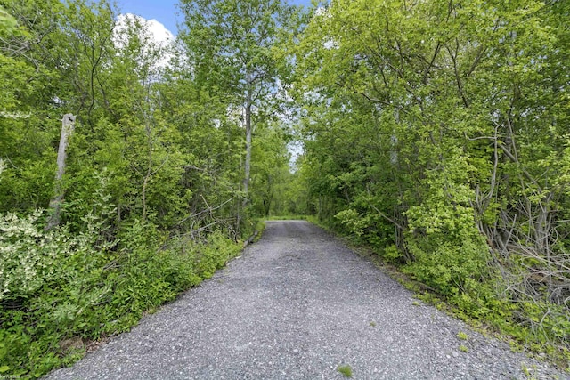 0 Jorden Rd, Yale, MI 48097