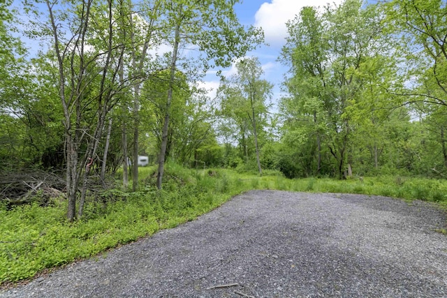 0 Jorden Rd, Yale, MI 48097