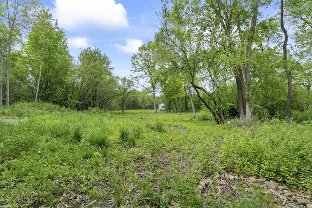 0 Jorden Rd, Yale, MI 48097