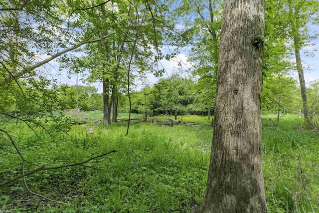 0 Jorden Rd, Yale, MI 48097