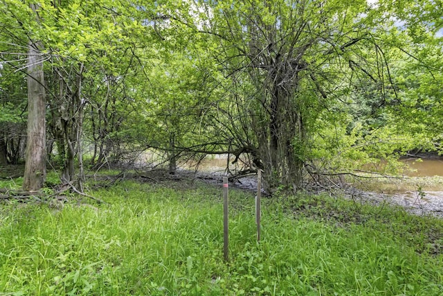 0 Jorden Rd, Yale, MI 48097