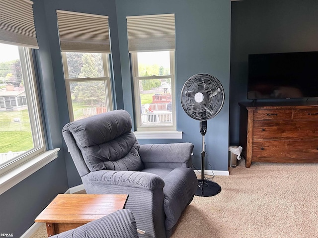 39148 Canterbury Dr, Harrison Twp, MI 48045 - living area featuring carpet floors and baseboards