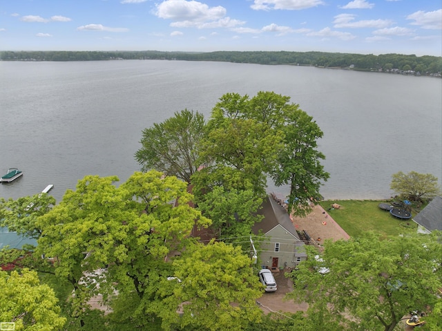 3620 Lakeshore Dr, Lapeer, MI 48446 - bird's eye view of a large body of water