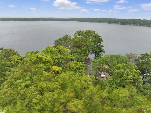 3620 Lakeshore Dr, Lapeer, MI 48446 - drone / aerial view of a nearby body of water