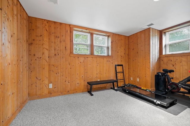 624 E G St, Iron Mountain, MI 49801 - exercise area with carpet floors, wooden walls, and baseboards