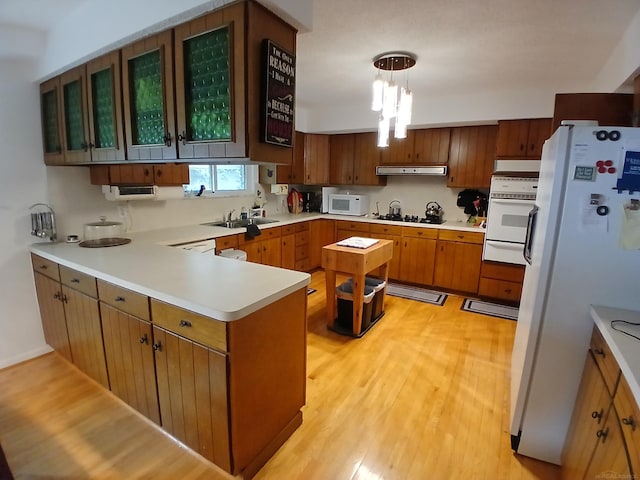 22460 La Von St, Saint Clair Shores, MI 48081 - kitchen with white appliances, under cabinet range hood, a peninsula, a sink, and light wood finished floors