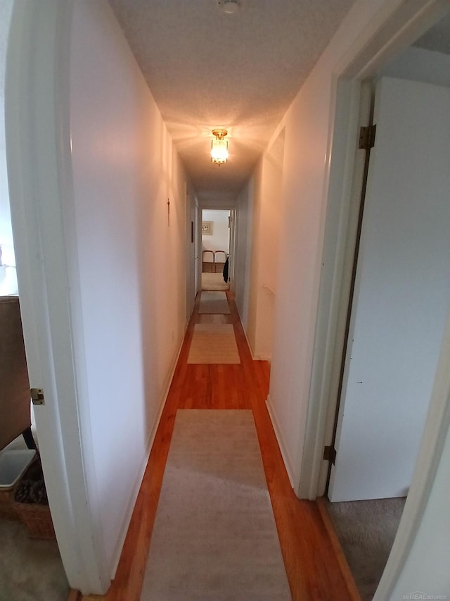 22460 La Von St, Saint Clair Shores, MI 48081 - hall featuring wood finished floors