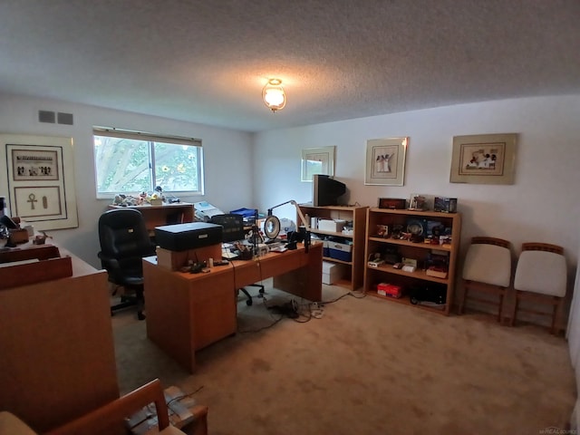22460 La Von St, Saint Clair Shores, MI 48081 - carpeted home office featuring a textured ceiling