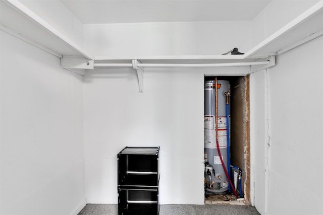 1371 Sturdevant St, Kimball, MI 48074 - walk in closet with gas water heater