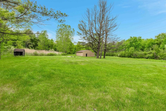 1371 Sturdevant St, Kimball, MI 48074 - view of green lawn with an outdoor structure and a pole building