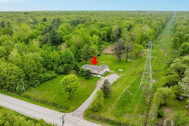 1371 Sturdevant St, Kimball, MI 48074 - aerial view of a forest