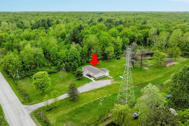 1371 Sturdevant St, Kimball, MI 48074 - drone / aerial view of a forest