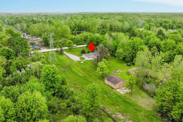 1371 Sturdevant St, Kimball, MI 48074 - bird's eye view of a forest