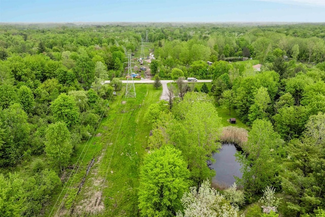 1371 Sturdevant St, Kimball, MI 48074 - drone / aerial view of a heavily wooded area and a nearby body of water