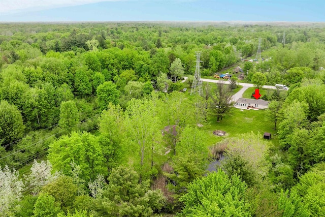 1371 Sturdevant St, Kimball, MI 48074 - aerial view of a heavily wooded area
