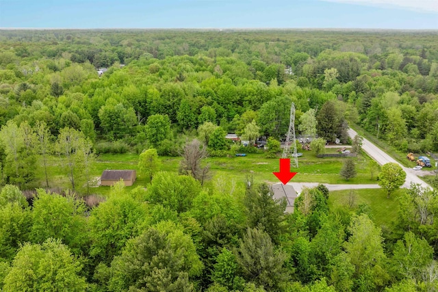 1371 Sturdevant St, Kimball, MI 48074 - bird's eye view of a heavily wooded area