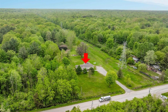 1371 Sturdevant St, Kimball, MI 48074 - aerial view of a forest