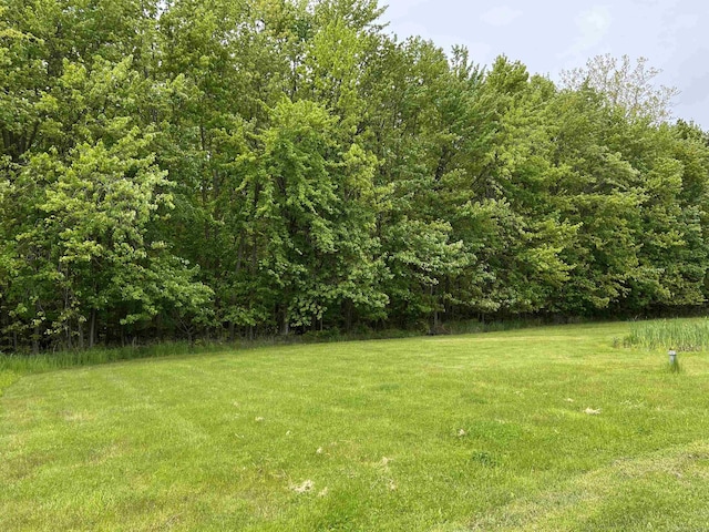 815 Cove Rd, Wales, MI 48027 - view of grassy yard