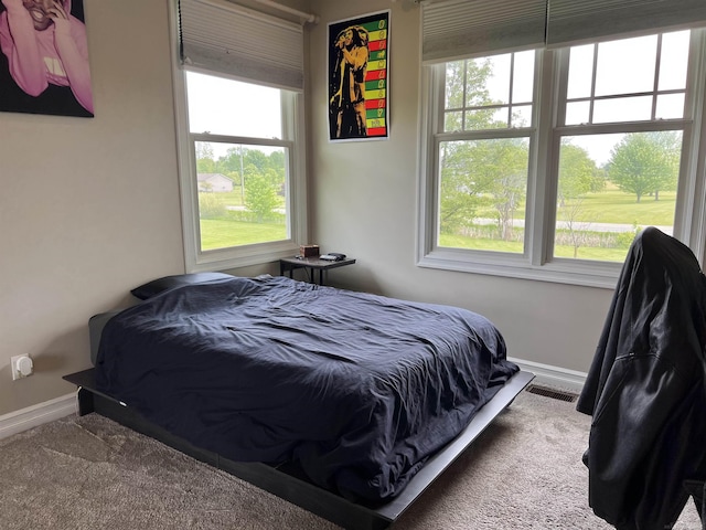 815 Cove Rd, Wales, MI 48027 - bedroom with baseboards, multiple windows, and carpet floors