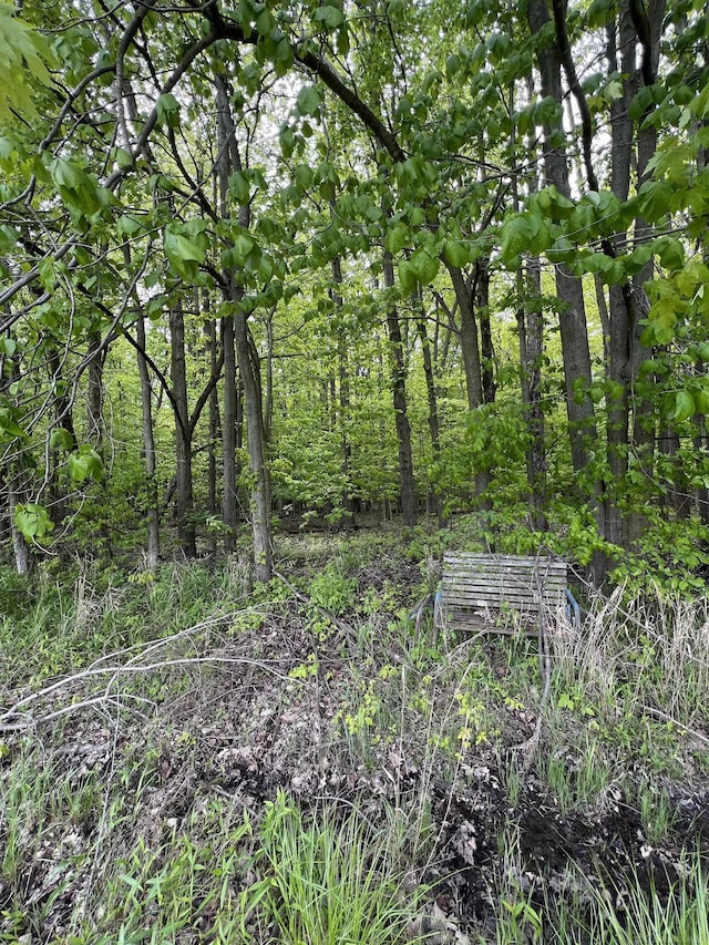 815 Cove Rd, Wales, MI 48027 - view of wooded area
