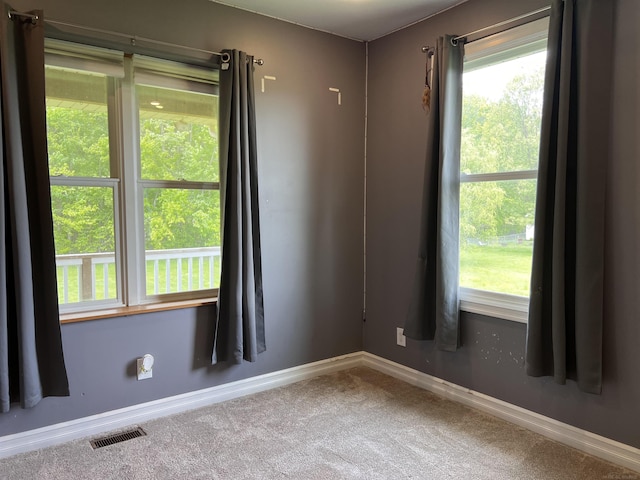 815 Cove Rd, Wales, MI 48027 - empty room with carpet floors, baseboards, and plenty of natural light