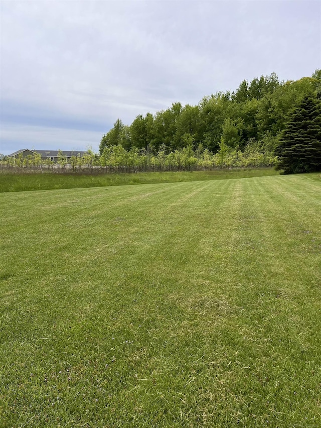 815 Cove Rd, Wales, MI 48027 - view of grassy yard