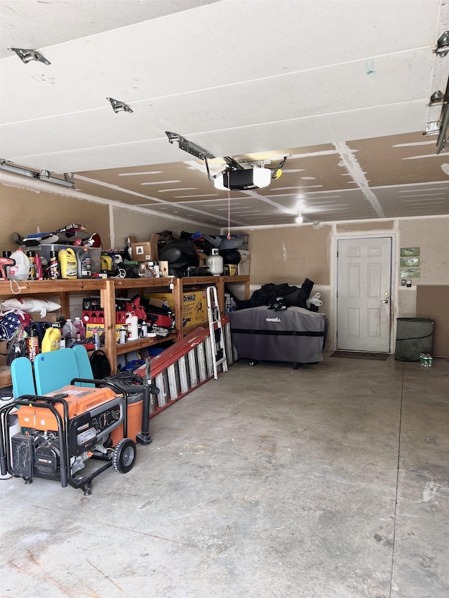 815 Cove Rd, Wales, MI 48027 - garage with a garage door opener