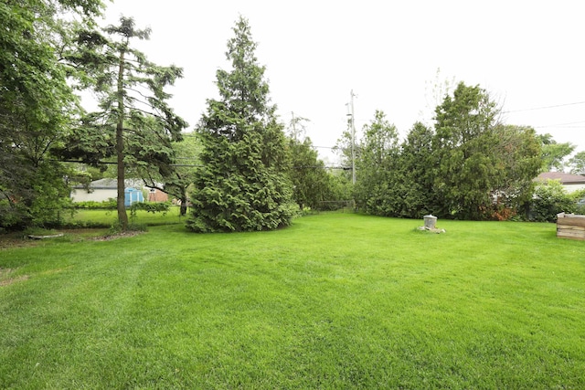 23300 Allor St, Saint Clair Shores, MI 48082 - view of green lawn