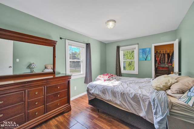 622 Kendon Dr, Lansing, MI 48910 - bedroom featuring dark wood finished floors, baseboards, a spacious closet, and a closet