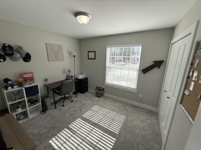 34317 Pratt Rd, Memphis, MI 48041 - carpeted office with baseboards