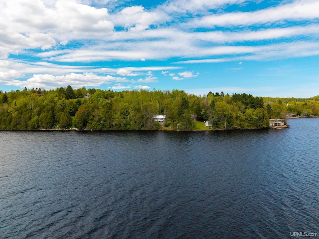 514/324 S Brook St, Michigamme, MI 49861 - water view featuring a heavily wooded area