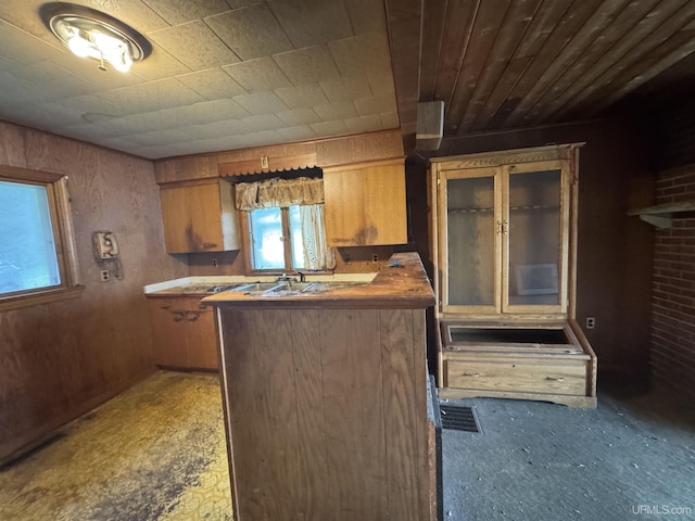 514/324 S Brook St, Michigamme, MI 49861 - kitchen featuring carpet floors, a peninsula, wooden walls, glass insert cabinets, and brown cabinets
