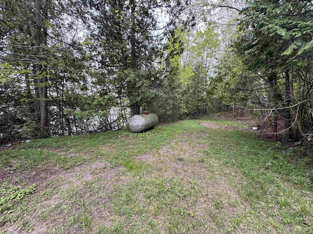 514/324 S Brook St, Michigamme, MI 49861 - view of yard with a view of trees