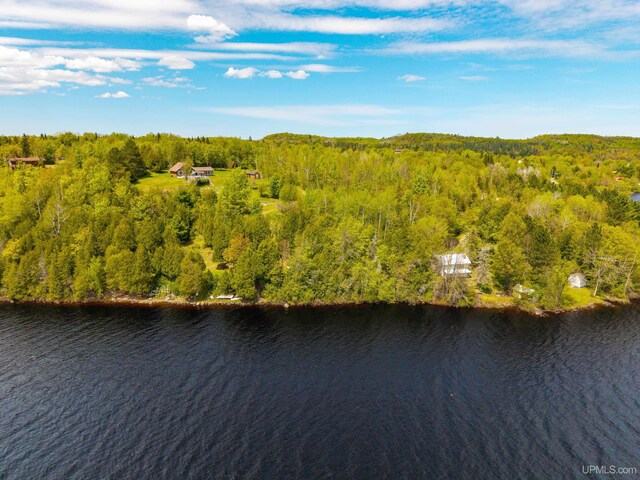 514/324 S Brook St, Michigamme, MI 49861 - drone / aerial view of a forest and a large body of water