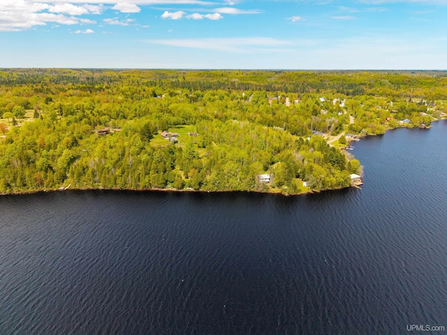 514/324 S Brook St, Michigamme, MI 49861 - bird's eye view of a heavily wooded area and a large body of water