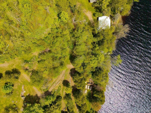 514/324 S Brook St, Michigamme, MI 49861 - bird's eye view