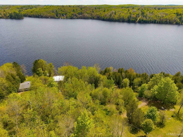 514/324 S Brook St, Michigamme, MI 49861 - drone / aerial view of a heavily wooded area and a large body of water
