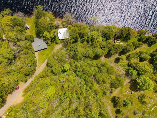 514/324 S Brook St, Michigamme, MI 49861 - aerial view